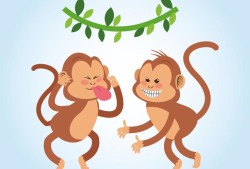猴子跟猴子在一起合适吗(探讨猴子社交行为的奥秘)