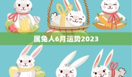 属兔人6月运势2023(事业顺利财运亨通)