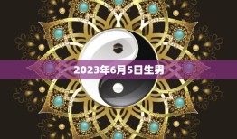 2023年6月5日生男(预测星座、性格、职业、婚姻等详解)