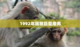 1992年属猴巨蟹座男(性格解析多情而敏感)