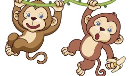 二十多岁属猴的是哪一年(猴年出生的人如何度过这个重要的人生阶段)