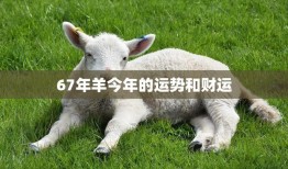 67年羊今年的运势和财运(财运旺盛事业顺利)
