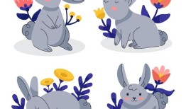 如何养兔子的方法和技巧(兔子饲养指南)