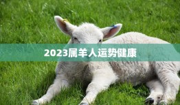 2023属羊人运势健康(身体健康心情愉悦)