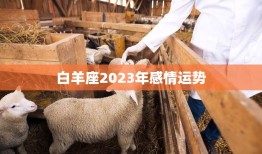白羊座2023年感情运势(爱情大起大落)