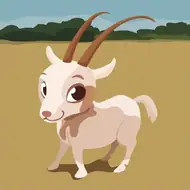 属羊人今日运程全解析：精准把握3大吉时与财神方位