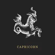 摩羯座星座属性全解析：到底是风象还是土星星座？