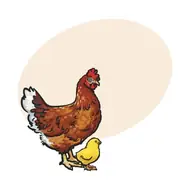 揭秘十二生肖无尾之谜：哪个生肖藏得最深？答案竟在民俗智慧里