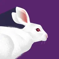 12生肖农历年份对照表：快速查询指南