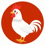 属鸡的今年多大了2025年几岁：属鸡的今年几岁了