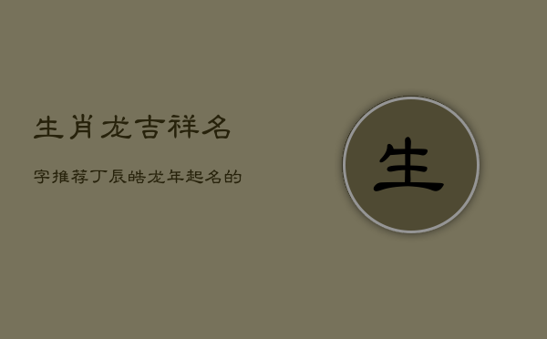 生肖龙吉祥名字推荐：丁辰皓——龙年起名的最佳选择  第1张