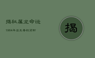 揭秘属龙命运：1964年出生者的坚韧与成功之路
