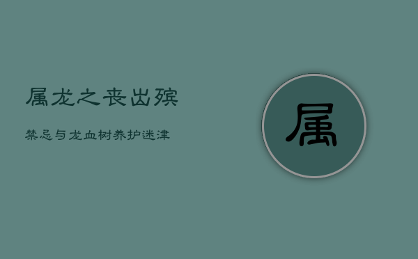 属龙之丧，出殡禁忌与龙血树养护迷津  第1张