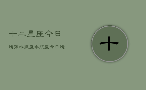十二星座今日运势水瓶座，水瓶座今日运势指南  第1张