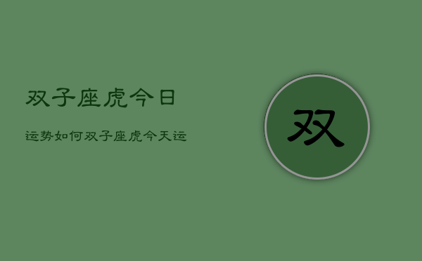 双子座虎今日运势如何，双子座虎今天运气怎么样  第1张