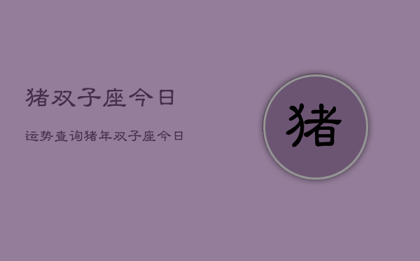 猪双子座今日运势查询，猪年双子座今日运程  第1张
