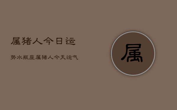 属猪人今日运势水瓶座，属猪人今天运气怎么样水瓶座  第1张
