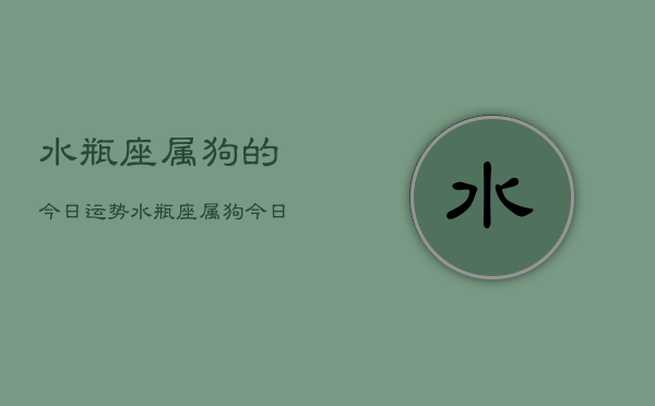 水瓶座属狗的今日运势，水瓶座属狗今日运程  第1张