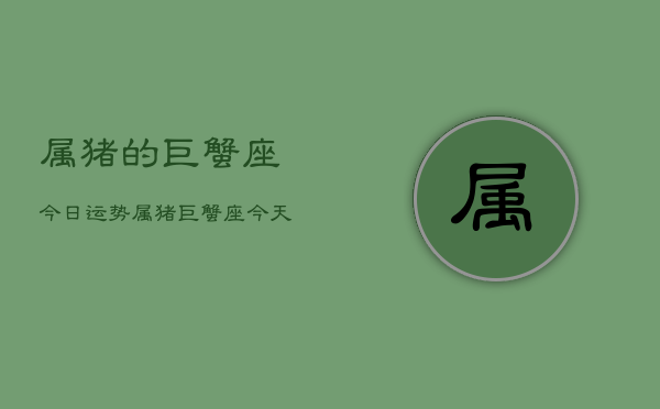 属猪的巨蟹座今日运势，属猪巨蟹座今天运气怎么样  第1张