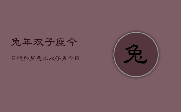 兔年双子座今日运势男，兔年双子男今日运程如何  第1张