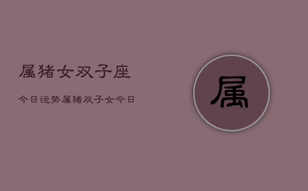 属猪女双子座今日运势，属猪双子女今日运程  第1张