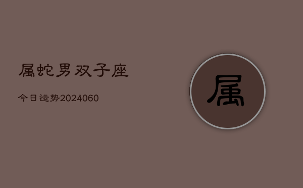属蛇男双子座今日运势(20240608)  第1张