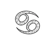 2025年2月2日星座运势查询！附一周避坑指南