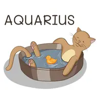 今日运势每日一签测试（附2月6日精准解读）