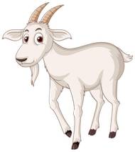 1979属羊人46岁后运势解析：未来五年关键点