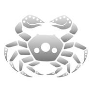 唐立淇2025星座运势全解析：五大关键星座转运指南