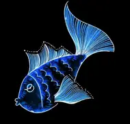 双鱼座今日运势全解析：把握情感与事业的关键时刻