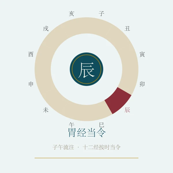 胃经当令养生概念图