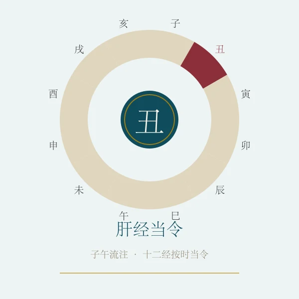 肝经当令养生概念图