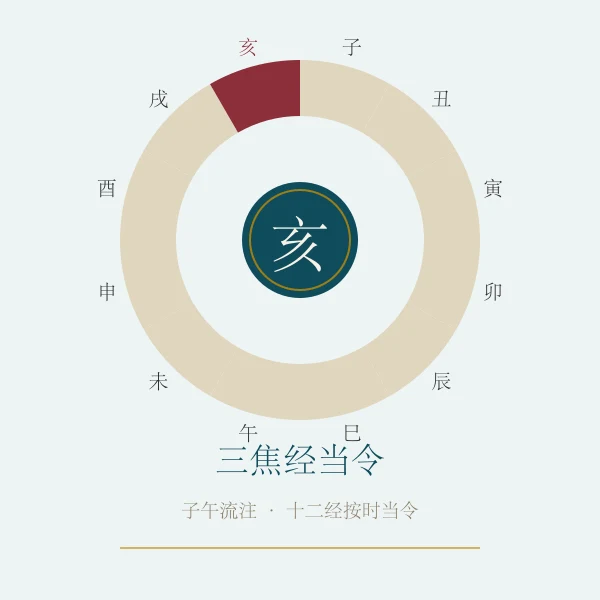 三焦经当令养生概念图