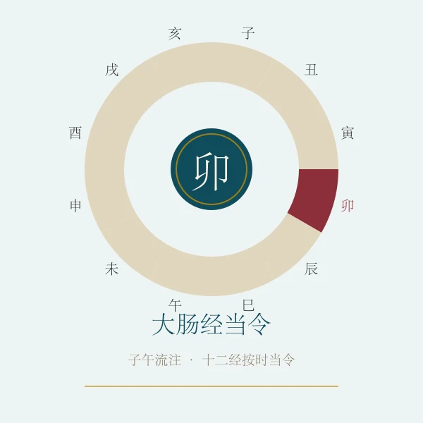 大肠经当令养生概念图