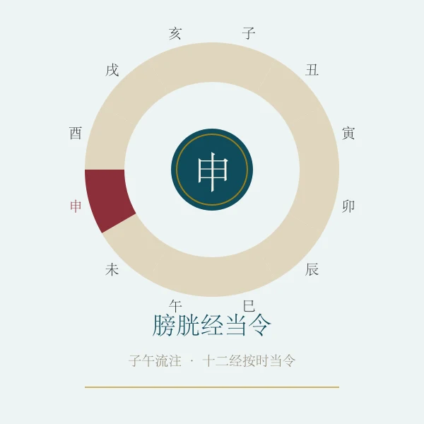 膀胱经当令养生概念图
