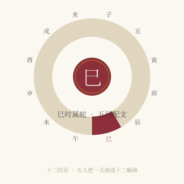 巳时蛇主题插画
