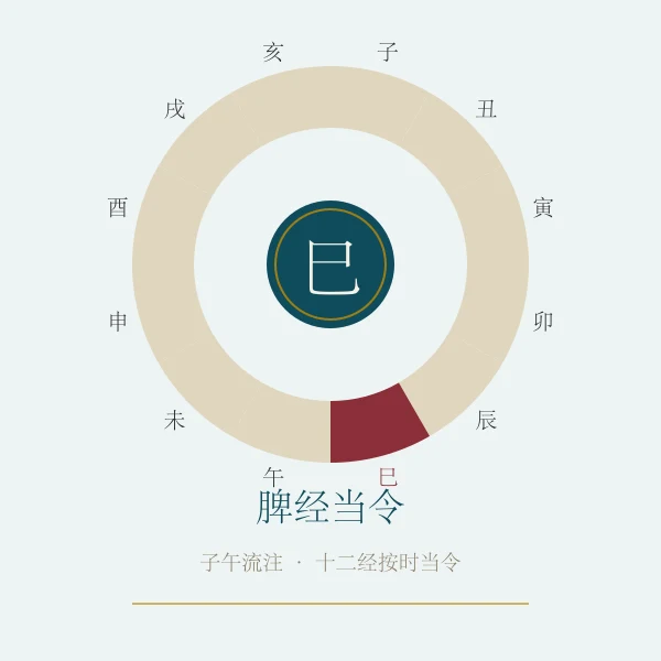 脾经当令养生概念图