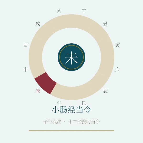 小肠经当令养生概念图