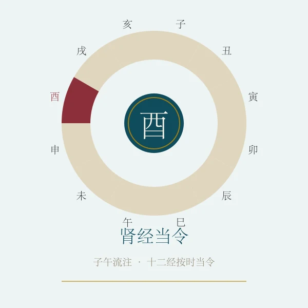 肾经当令养生概念图