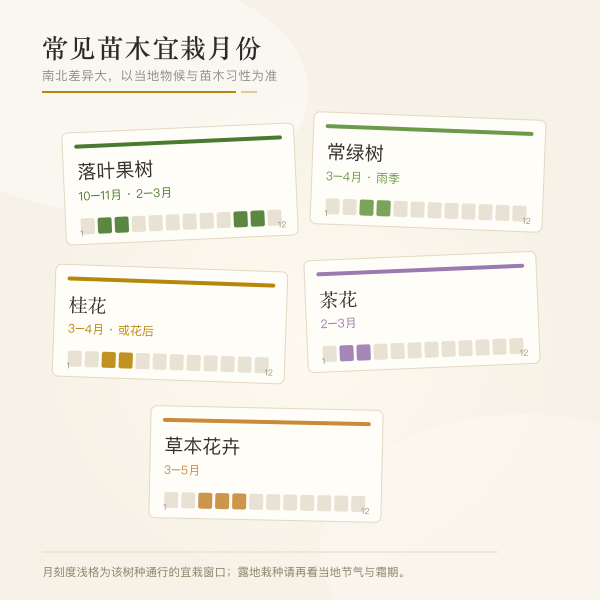 常见苗木宜栽月份一览插画