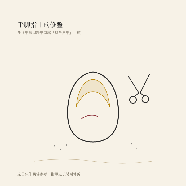 手部与指甲线描示意图