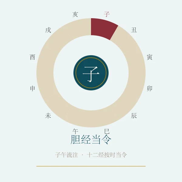 胆经当令养生概念图